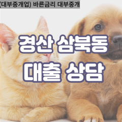 삼북동대부대출 삼북동비대면대출 경산시대부업체 삼북동급전대출개인돈 삼북동소액월변대출