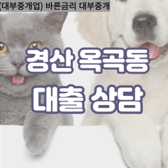 옥곡동대부대출 옥곡동비대면대출 경산시대부업체 옥곡동급전대출개인돈 옥곡동소액월변대출