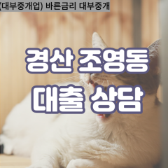 조영동대부대출 조영동비대면대출 경산시대부업체 조영동급전대출개인돈 조영동소액월변대출