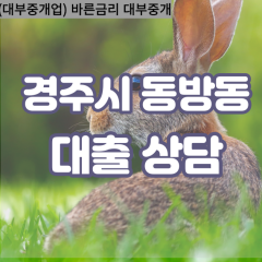 동방동대부대출 동방동비대면대출 경주시대부업체 동방동급전대출개인돈 동방동소액월변대출