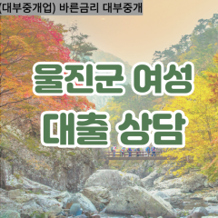 죽변면대부대출 평해읍비대면대출 울진군대부업체 울진급전대출개인돈 후포면소액월변대출