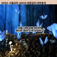 하동대부대출 하동비대면대출 여주시대부업체 하동급전대출개인돈 하동소액월변대출