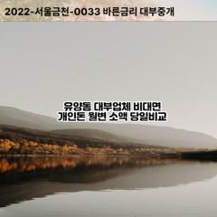 유양동대부대출 유양동비대면대출 양주시대부업체개인돈 유양동월변대부업체 유양동소액월변대출