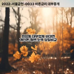 회암동대부대출 회암동비대면대출 양주시대부업체 회암동급전대출개인돈 회암동소액월변대출