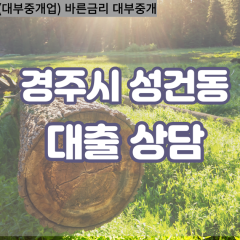 성건동대부대출 성건동비대면대출 경주시대부업체 성건동급전대출개인돈 성건동소액월변대출