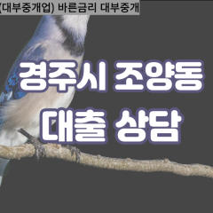 조양동대부대출 조양동비대면대출 경주대부업체 조양동급전대출개인돈 조양동소액월변대출