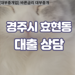 효현동대부대출 효현동비대면대출 경주대부업체 효현동급전대출개인돈 효현동소액월변대출