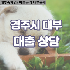 양남면대부대출 외동읍비대면대출 경주대부업체 천북면급전대출개인돈 현곡면소액월변대출