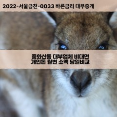 중화산동대부대출 중화산동1가비대면대출 전주시완산구대부업체 중화산동2가급전대출개인돈 중화산동소액월변대출