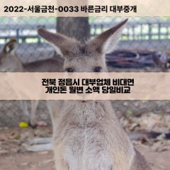 칠보면대부대출 태인면비대면대출 전북정읍시대부업체 영원면급전대출개인돈 전라북도소액월변대출