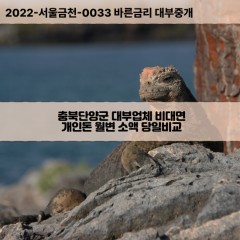 가곡면대부대출 단성면비대면대출 충북단양군대부업체 단양읍급전대출개인돈 대강면소액월변대출