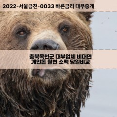 군북면대부대출 군서면비대면대출 충북옥천군대부업체 동이면급전대출개인돈 안남면소액월변대출