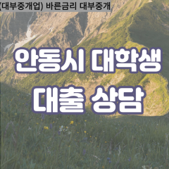 도산면대부대출 북후면비대면대출 안동시대부업체 서후면급전대출개인돈 예안면소액월변대출