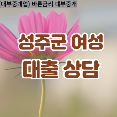 성주군대부대출 용암면비대면대출 성주군대부업체 월항면급전대출개인돈 초전면소액월변대출