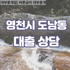 도남동대부대출 도남동비대면대출 영천시대부업체 도남동급전대출개인돈 도남동소액월변대출