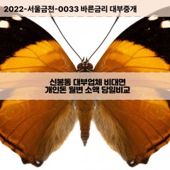 신봉동대부대출 신봉동비대면대출 청주시흥덕구대부업체 신봉동급전대출개인돈 신봉동소액월변대출