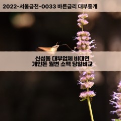 신성동대부대출 신성동비대면대출 청주시흥덕구대부업체 신성동급전대출개인돈 신성동소액월변대출