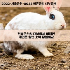 개정면대부대출 나포면비대면대출 전북군산시대부업체 대야면급전대출개인돈 서수면소액월변대출