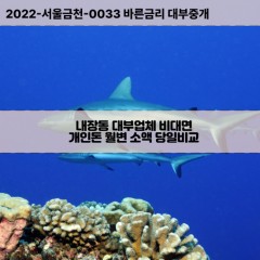 내장동대부대출 내장동비대면대출 전북정읍시대부업체 내장동급전대출개인돈 내장동소액월변대출