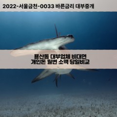 용산동대부대출 용산동비대면대출 전북정읍시대부업체 용산동급전대출개인돈 용산동소액월변대출