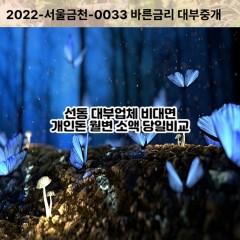 선동대부대출 선동비대면대출 하남시대부업체 선동급전대출개인돈 선동소액월변대출