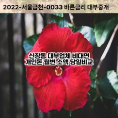 신장동대부대출 신장동비대면대출 하남시대부업체 신장동급전대출개인돈 신장동소액월변대출