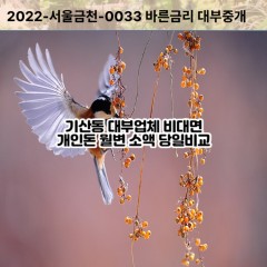 기산동대부대출 기산동비대면대출 화성시대부업체 기산동급전대출개인돈 기산동소액월변대출