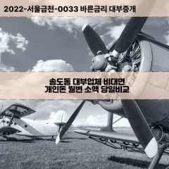 송도동대부대출 송도동비대면대출 포항시남구대부업체 송도동급전대출개인돈 송도동소액월변대출