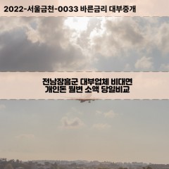 용산면대부대출 유치면비대면대출 전남장흥군대부업체 장동면급전대출개인돈 장평면소액월변대출