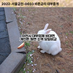 부발읍대부대출 설성면비대면대출 이천시대부업체 신둔면급전대출개인돈 율면소액월변대출