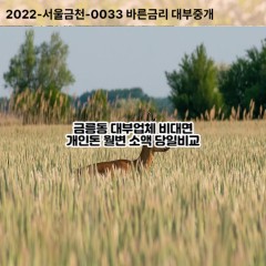 금릉동대부대출 금릉동비대면대출 파주시대부업체 금릉동급전대출개인돈 금릉동소액월변대출