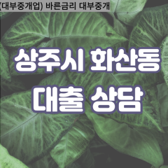 화산동대부대출 화산동비대면대출 상주시대부업체 화산동급전대출개인돈 화산동소액월변대출