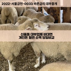 신흥동대부대출 신흥동비대면대출 전북군산시대부업체 신흥동급전대출개인돈 신흥동소액월변대출