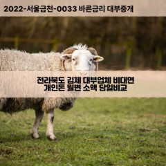 부량면대부대출 성덕면비대면대출 전라북도김제대부업체 용지면급전대출개인돈 죽산면소액월변대출