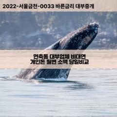 연축동대부대출 연축동비대면대출 대전시대덕구대부업체개인돈 연축동월변대부업체 연축동소액월변대출