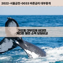 가오동대부대출 가오동비대면대출 대전시동구대부업체개인돈 가오동월변대부업체 가오동소액월변대출