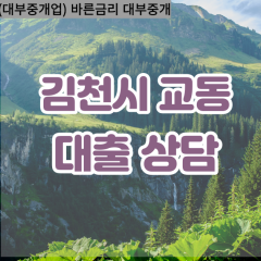 교동대부대출 교동비대면대출 김천시대부업체 교동급전대출개인돈 교동소액월변대출