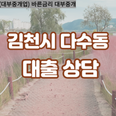 다수동대부대출 다수동비대면대출 김천시대부업체 다수동급전대출개인돈 다수동소액월변대출