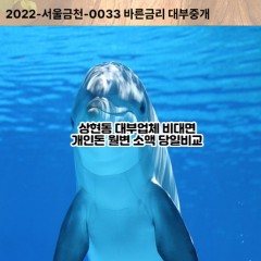 상현동대부대출 상현동비대면대출 용인시수지구대부업체 상현동급전대출개인돈 상현동소액월변대출