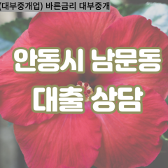 남문동대부대출 남문동비대면대출 안동시대부업체 남문동급전대출개인돈 남문동소액월변대출