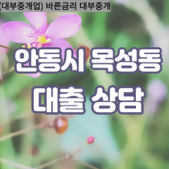 목성동대부대출 목성동비대면대출 안동시대부업체 목성동급전대출개인돈 목성동소액월변대출