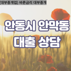 안막동대부대출 안막동비대면대출 안동시대부업체 안막동급전대출개인돈 안막동소액월변대출