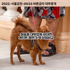 월송동대부대출 월송동비대면대출 여주시대부업체 월송동급전대출개인돈 월송동소액월변대출