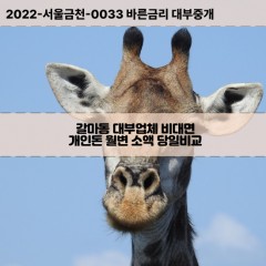 갈마동대부대출 갈마동비대면대출 대전시서구대부업체개인돈 갈마동월변대부업체 갈마동소액월변대출