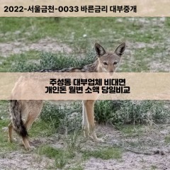 주성동대부대출 주성동비대면대출 청주시청원구대부업체 주성동급전대출개인돈 주성동소액월변대출