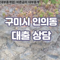 인의동대부대출 인의동비대면대출 구미대부업체 인의동급전대출개인돈 인의동소액월변대출