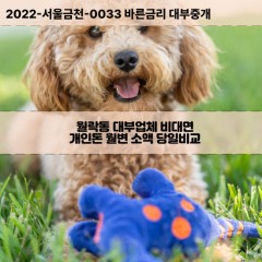 월락동대부대출 월락동비대면대출 전북남원시대부업체 월락동급전대출개인돈 월락동소액월변대출