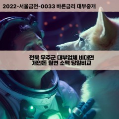 전라북도대부대출 안성면비대면대출 전북무주군대부업체 적상면급전대출개인돈 무주군소액월변대출