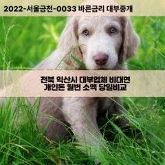 성당면대부대출 여산면비대면대출 전북익산시대부업체 오산면급전대출개인돈 왕궁면소액월변대출