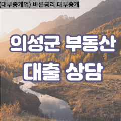 의성읍대부대출 의성비대면대출 의성군대부업체 점곡면급전대출개인돈 춘산면소액월변대출